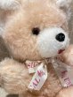 画像2: Musical Bear/Plush(80s/30cm) CD-014 (2)