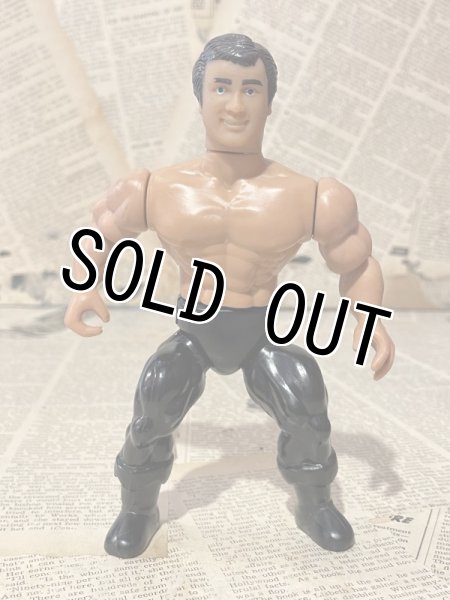 画像1: AWA/Action Figure(Greg Gagne/Loose) WW-023 (1)