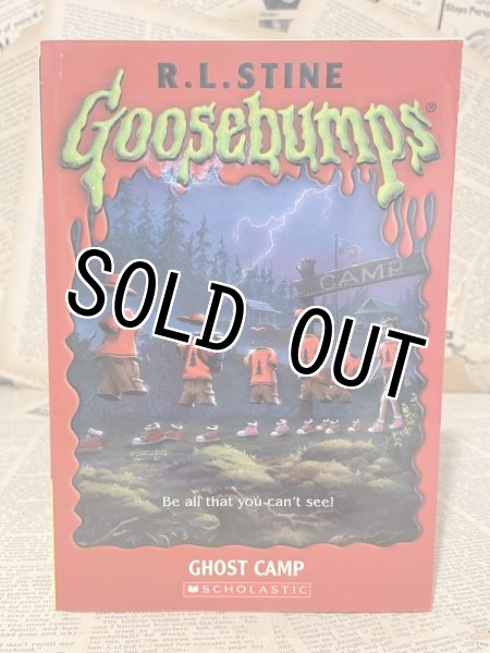 画像1: Goosebumps/Ghost Camp(90s) BK-252 (1)