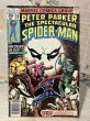 画像1: Spectacular Spider-Man/Comic(70s/#19) BK-311 (1)