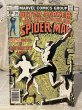 画像1: Spectacular Spider-Man/Comic(70s/#20) BK-312 (1)