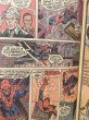 画像3: Spectacular Spider-Man/Comic(70s/#20) BK-312 (3)