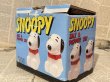 画像6: Snoopy/S&P Shakers set(90s) PN-072 (6)