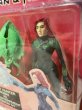 画像3: Batman/Action Figure(Robin vs Poison Ivy/MOC) DC-170 (3)