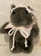 画像1: Star Wars/Ewok Plush(90s/Paploo) SW-146 (1)