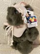 画像3: Star Wars/Ewok Plush(90s/Paploo) SW-146 (3)