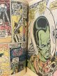 画像3: The Incredible Hulk/Comic(70s) BK-369 (3)