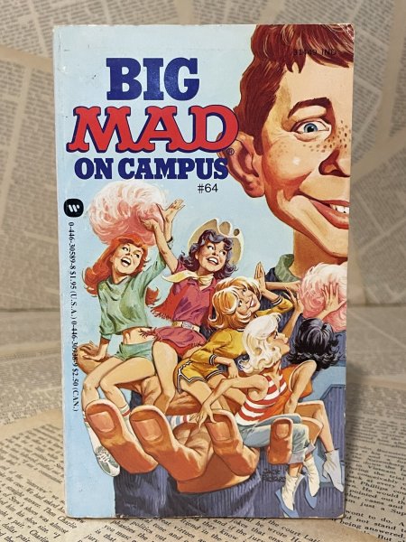 画像1: MAD/Pocket Book(Big Mad on Campus) BK-379 (1)