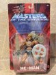 画像1: MOTU/Action Figure(2001/He-Man/MOC) FA-291 (1)