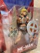 画像2: MOTU/Action Figure(2001/He-Man/MOC) FA-291 (2)