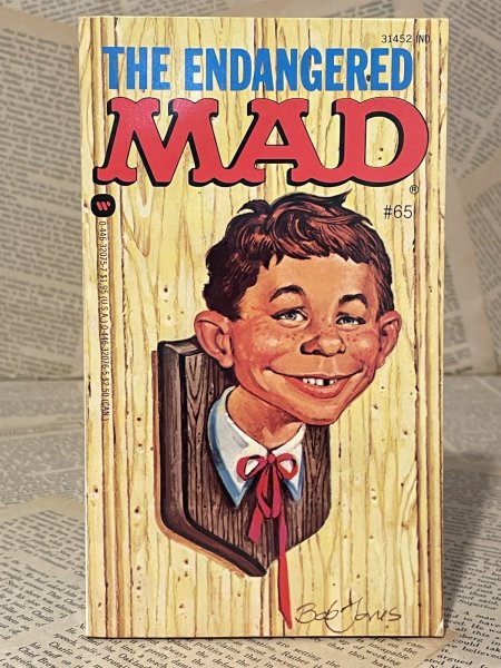 画像1: MAD/Pocket Book(The Endangered Mad) BK-384 (1)