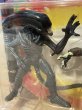 画像2: Alien vs Predator/Action Figure set(MOC) MO-355 (2)