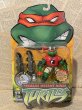 画像4: TMNT/Action Figure set(2004/Extreme Sports Turtles/MOC) TM-241 (4)