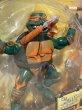 画像2: TMNT/Action Figure(2005/Mystic Fury Mike/MOC) TM-237 (2)